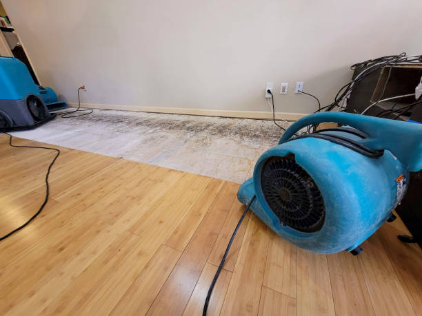 Professional Flood Damage Cleanup technician working in La Veta, CO